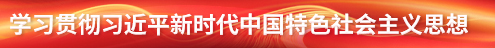 學(xué)習(xí)貫徹習(xí)近平新時(shí)代中國(guó)特色社會(huì)主義思想主題教育